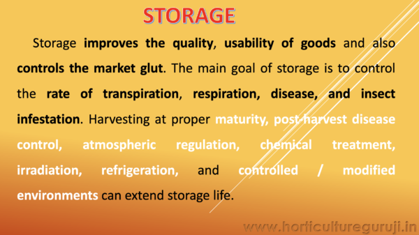 Storage of Fruits and Vegetables PPT - Image 2